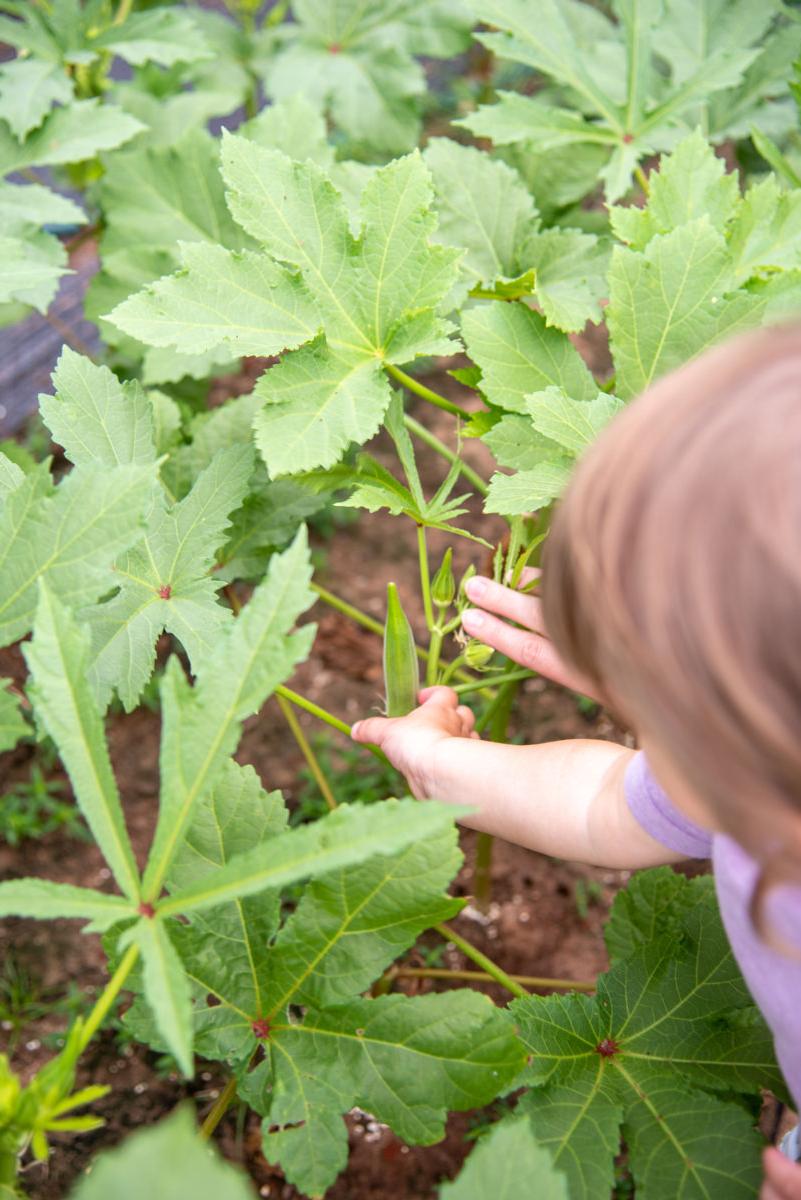 Mommy & Me: Air Fryer Okra