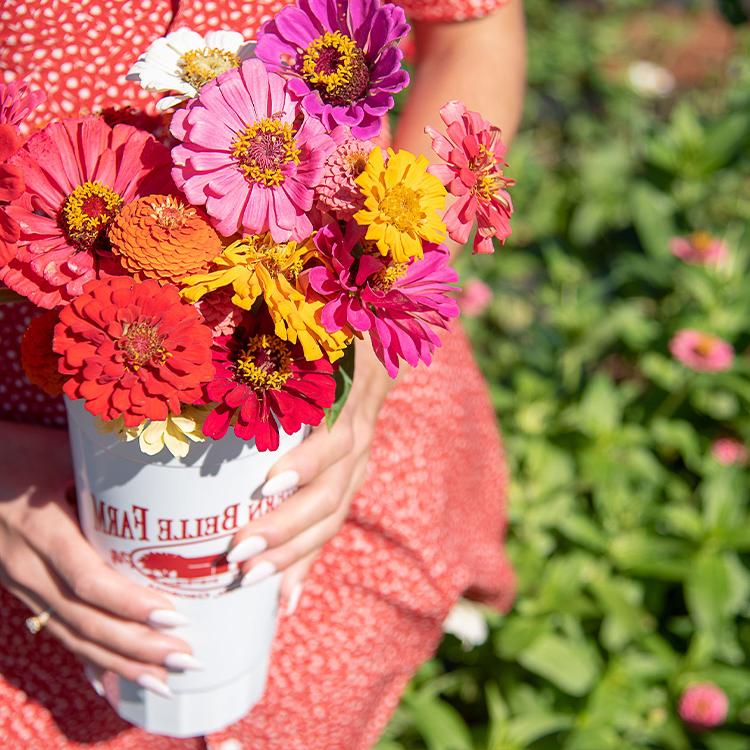 U-Pick Flowers from Certified Farm Market